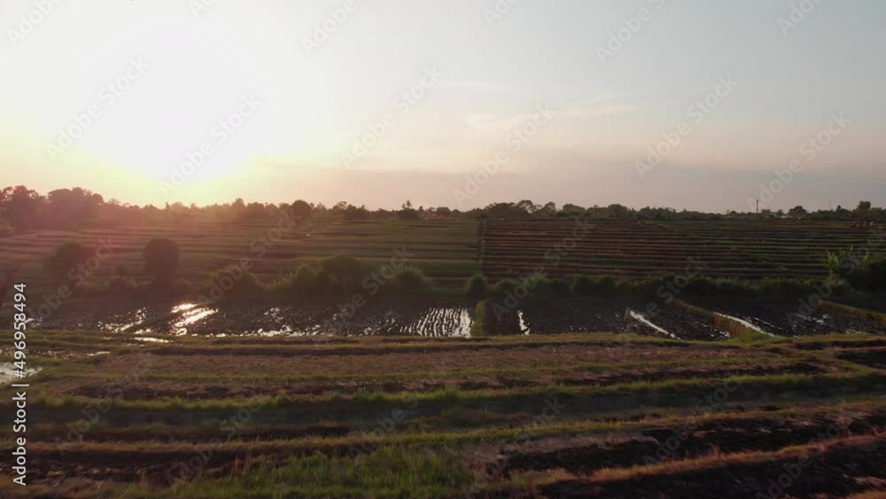 Rice Fields at Sunset - drone view - Bali, Indonesia Rice Fields at Sunset - drone view - Bali, Indonesia