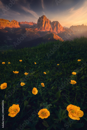 Light and mountains in the middle of nature 