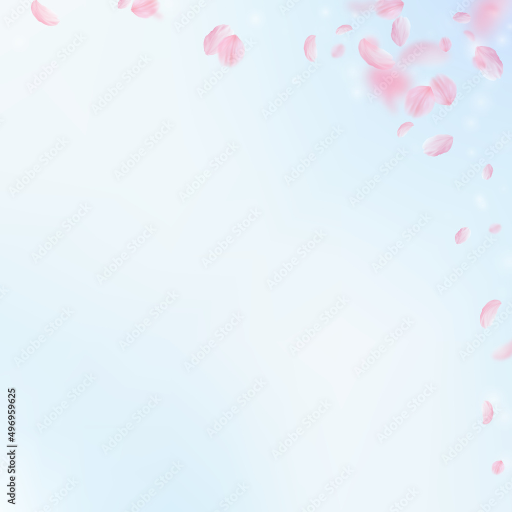 Sakura petals falling down. Romantic pink flowers corner. Flying petals on blue sky square background. Love, romance concept. Quaint wedding invitation.