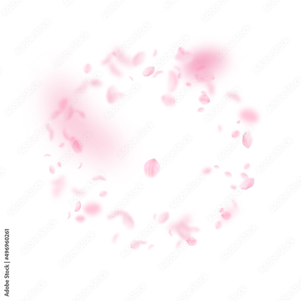 Sakura petals falling down. Romantic pink flowers frame. Flying petals on white square background. Love, romance concept. Pleasant wedding invitation.