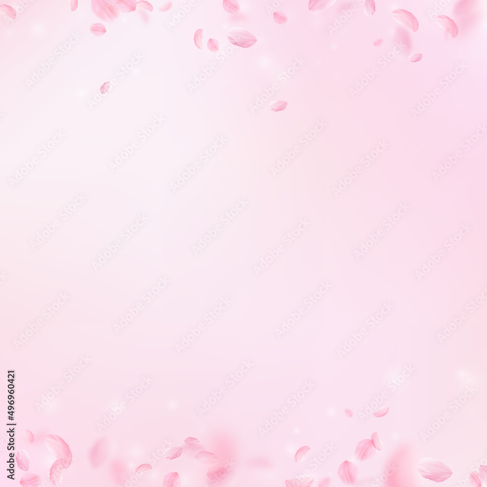 Sakura petals falling down. Romantic pink flowers borders. Flying petals on pink square background. Love, romance concept. Pleasant wedding invitation.