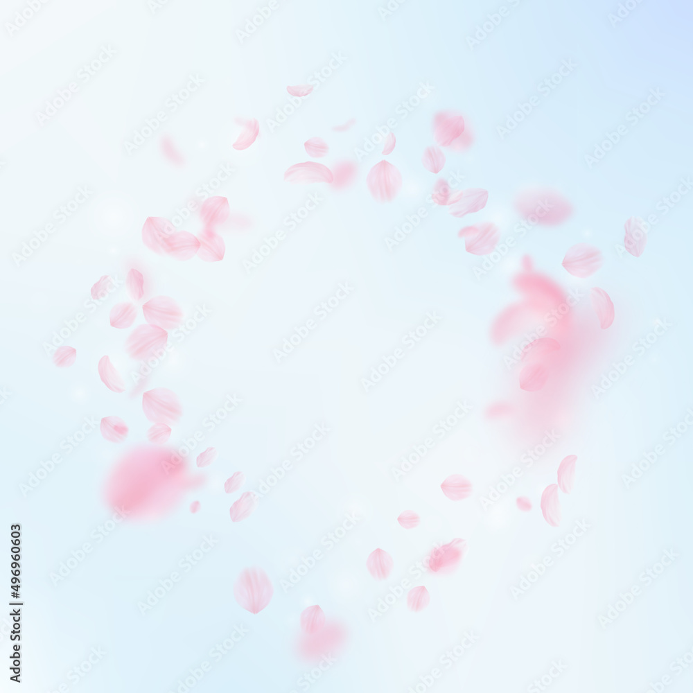 Sakura petals falling down. Romantic pink flowers vignette. Flying petals on blue sky square background. Love, romance concept. Dramatic wedding invitation.