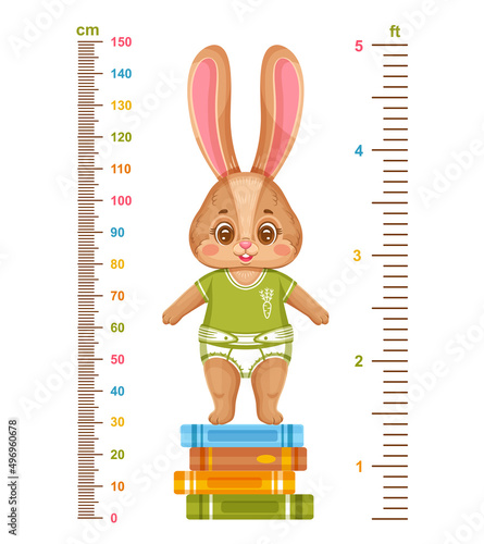 Kids height chart with cute bunny, children growth measuring. Meter wall ruler. Funny baby rabbit cartoon character on book stack. Child growing stadiometer scale for kindergarten or school. Vector photo