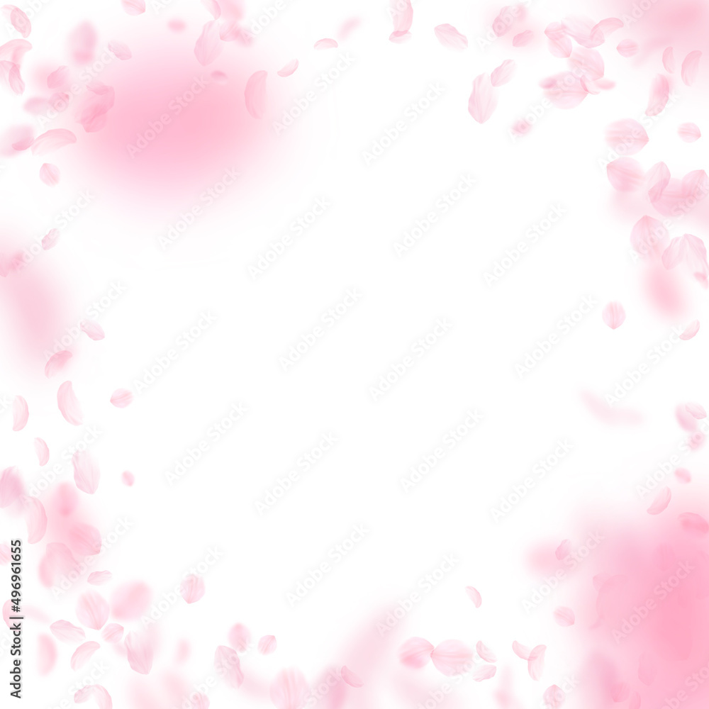 Sakura petals falling down. Romantic pink flowers vignette. Flying petals on white square background. Love, romance concept. Exceptional wedding invitation.