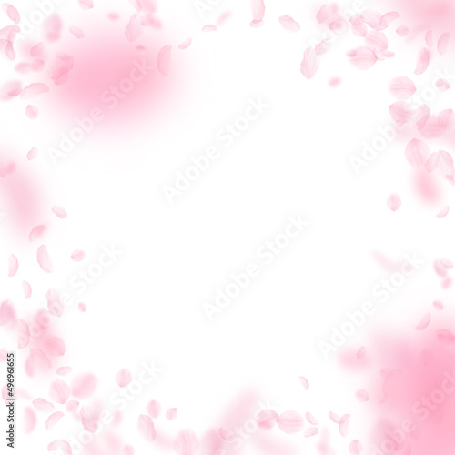 Sakura petals falling down. Romantic pink flowers vignette. Flying petals on white square background. Love, romance concept. Exceptional wedding invitation. © Begin Again