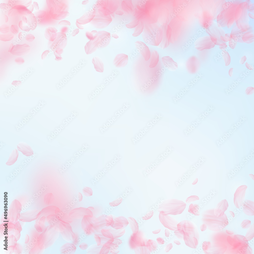 Sakura petals falling down. Romantic pink flowers falling rain. Flying petals on blue sky square background. Love, romance concept. Great wedding invitation.