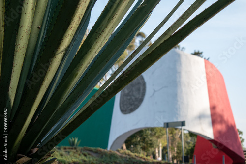 agave plant in front of a mexican monument