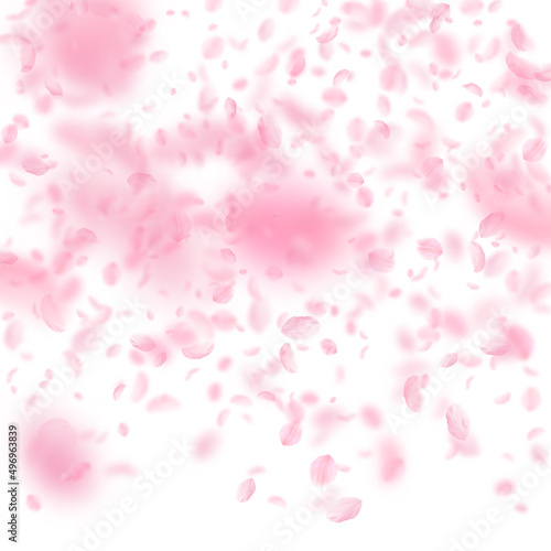 Sakura petals falling down. Romantic pink flowers gradient. Flying petals on white square background. Love, romance concept. Remarkable wedding invitation.