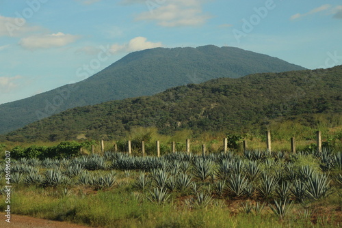 Canvas Print Mexican highway in the mountains