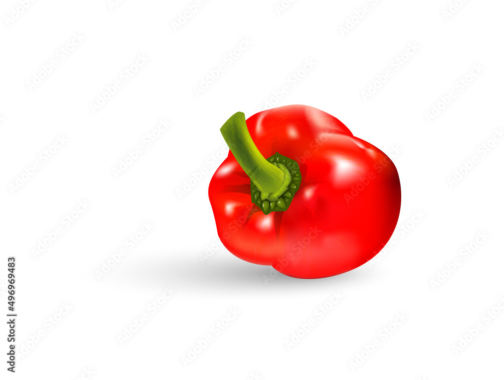 bell peppers vegetables isolated Vector illustrations bell peppers vegetables isolated Vector illustrations