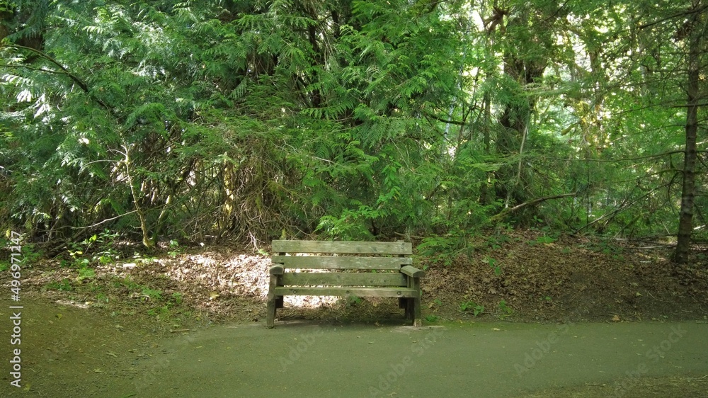 Bench in the Nature Bench in the Nature