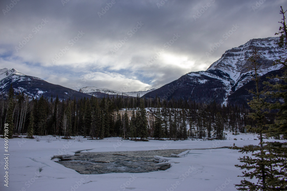 River train in the winter