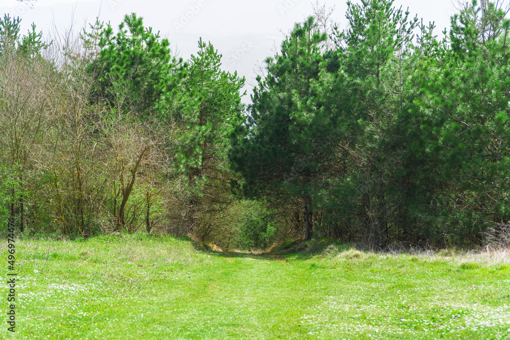 Green pathway in mountain. Green meadow on a sunny day. Green pathway in mountain. Green meadow on a sunny day.