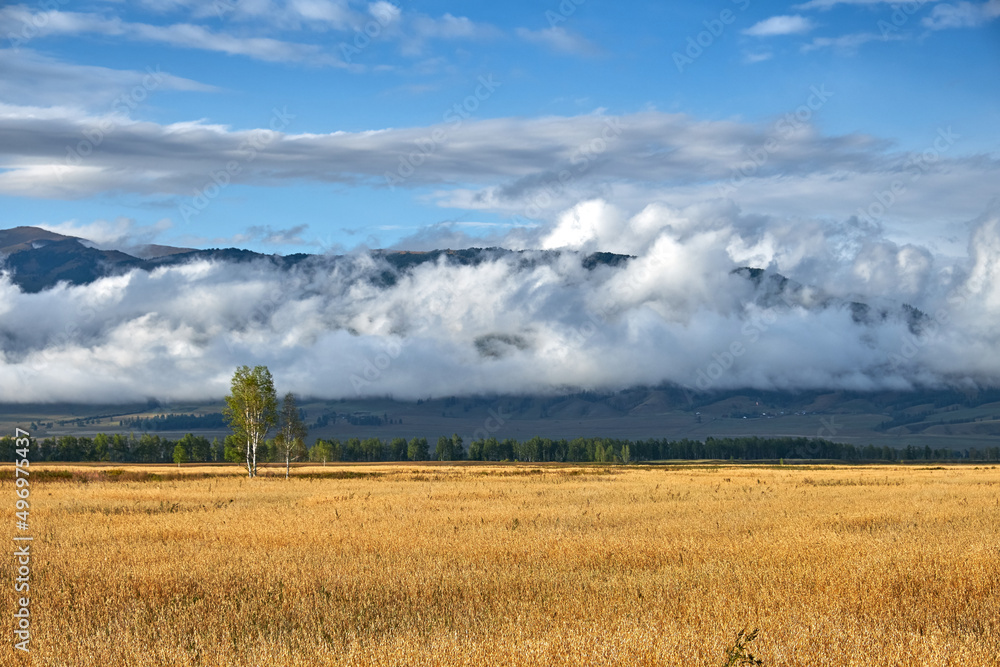 Fototapeta premium Field, mountains and clouds. Evening landscape after rain.