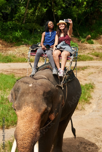 Weve got to capture this once in a lifetime opportunity. Cropped shot of young tourists taking a selfie while on an elephant ride through a tropical rainforest.