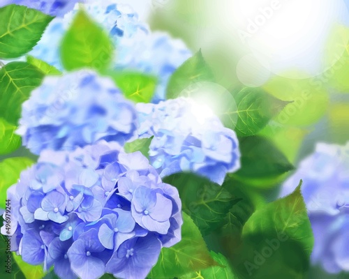 梅雨の時期に咲く美しい薄紫色と水色のあじさいと葉っぱの光差し込むボケの背景イラスト素材