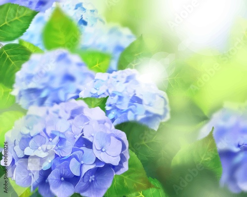 梅雨の時期に咲く美しい薄紫色と水色のあじさいと葉っぱの光差し込むボケの背景イラスト素材