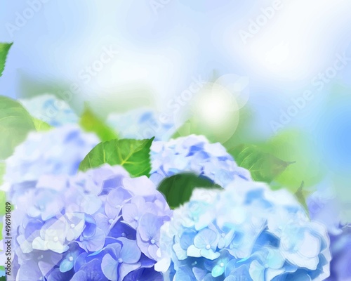 梅雨の時期に咲く美しい薄紫色と水色のあじさいと葉っぱの光差し込むボケの背景イラスト素材