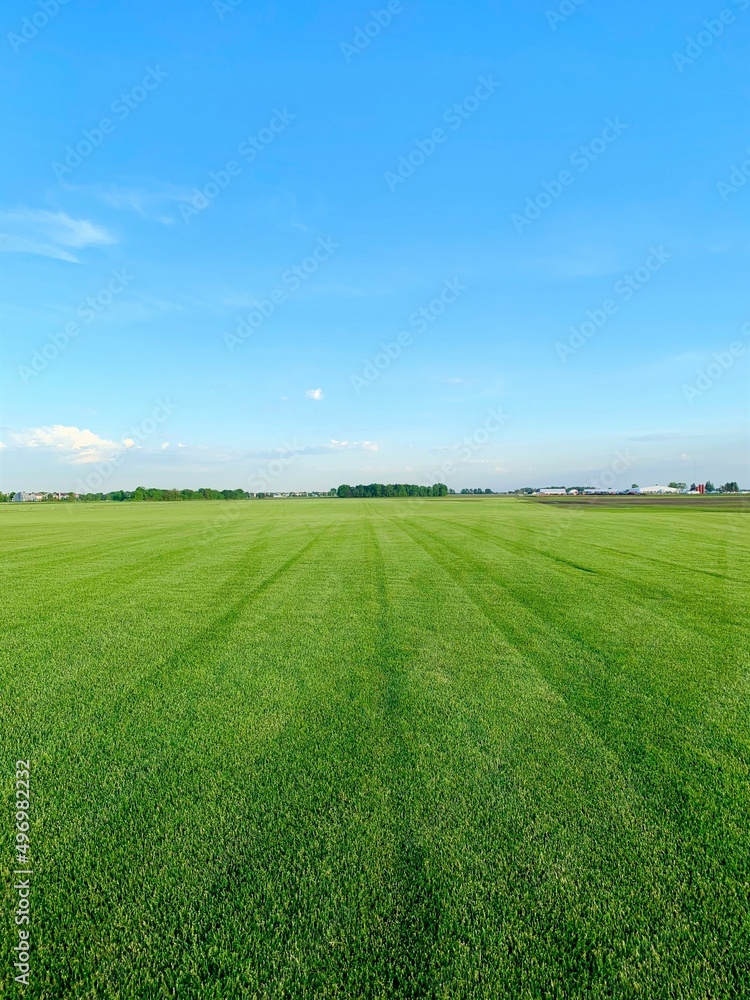 Blue skies, green grass and a sod farm in Plainfield IL Blue skies, green grass and a sod farm in Plainfield IL