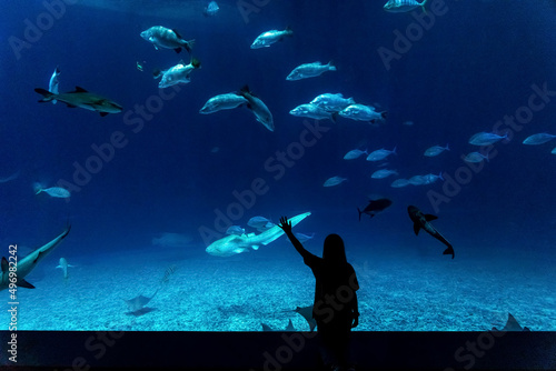 Girl watching a school of fish swimming in the aquarium © Вера Щербакова