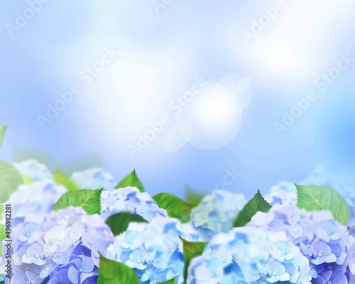 梅雨の時期に咲く美しい薄紫色と水色のあじさいと葉っぱの光差し込むボケの背景イラスト素材
