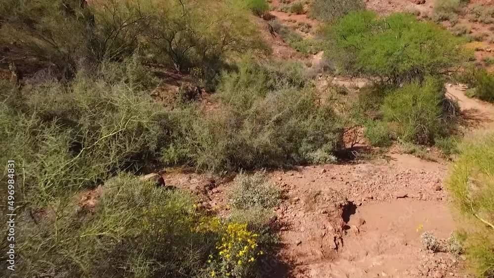 Traveling through the Arizona desert with green trees and red rocks to a hiking trail. Traveling through the Arizona desert with green trees and red rocks to a hiking trail.