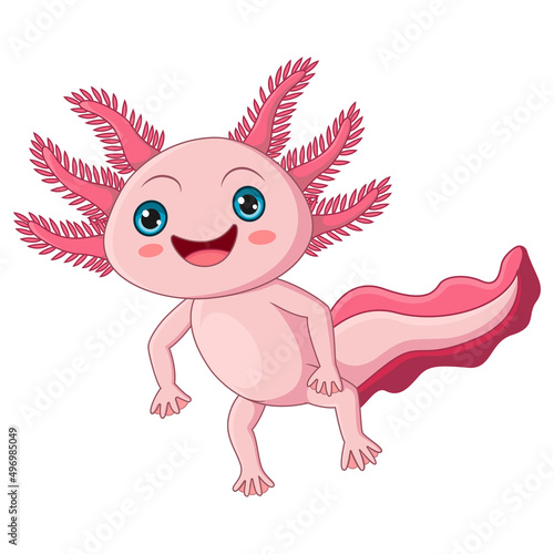 Cute axolotl cartoon on white background