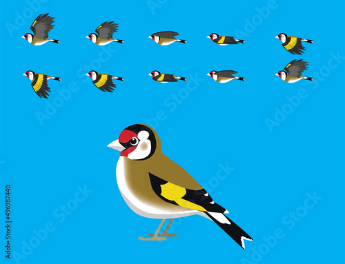 European Goldfinch Flying Animation Cute Cartoon Vector Illustration