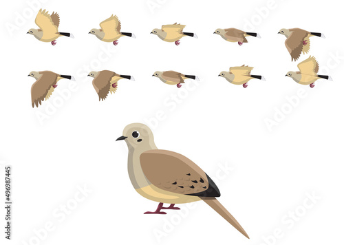 Mourning Dove Flying Motion Animation Sequence Cartoon Vector Illustration