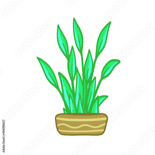 Potted plant. Homemade Green leaves of houseplant. Gardening and botany. Flat illustration. Brown pot and House decoration