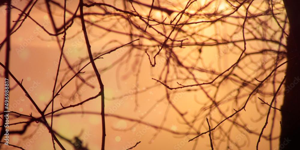 Fototapeta premium Tree branches decorated with golden lights on a yellow-orange background