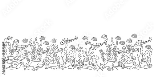 Underwater border. Ocean flora and fauna . Hand drawn horizontal vector illustration on white background.