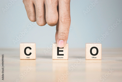 CEO Chief Executive Officer business and industrial analysis concept on cube wood block with copy space.