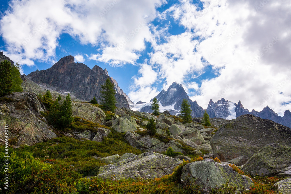 Summer scenery in the French Alps with Larix trees and sharp peaks Summer scenery in the French Alps with Larix trees and sharp peaks