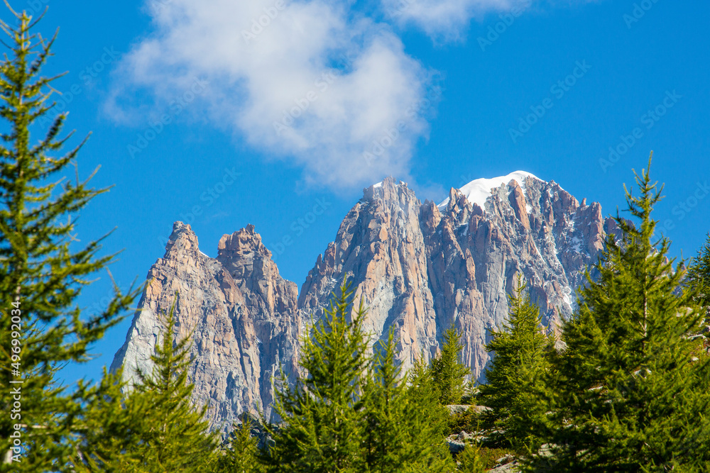 Summer scenery in the French Alps with Larix trees and sharp peaks