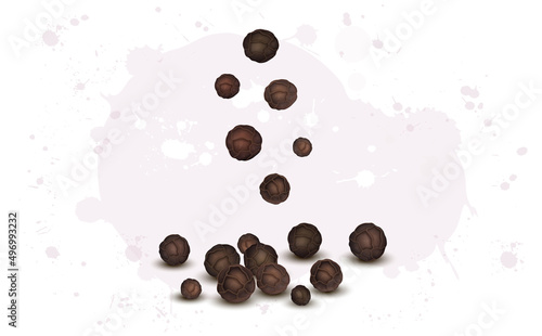 Vector illustration of black paper, peppercorn seeds