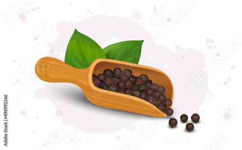A wooden scoop with black pepper seeds and green leaves vector illustration