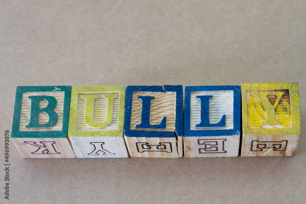 The term bully visually displayed The term bully visually displayed