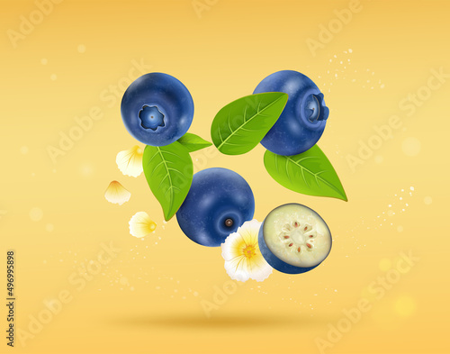 Blueberries fruit vector illustration with berries leaves on yellow background
