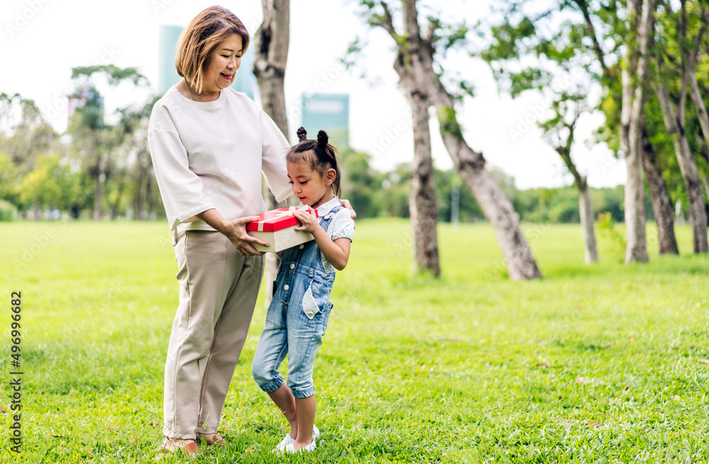 Fototapeta premium Portrait of happy love asian grandmother and little asian cute girl enjoy relax in summer park.Young girl with their laughing grandparent smiling together.Family and togetherness