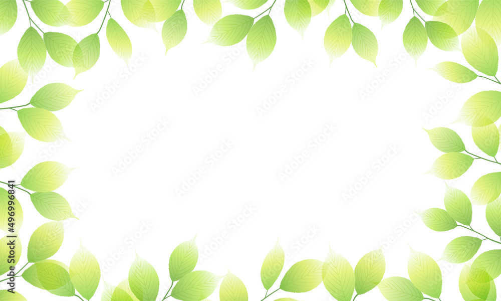新緑の葉のベクターイラスト背景(フレッシュ,コピースペース,art,narural,fresh,green)