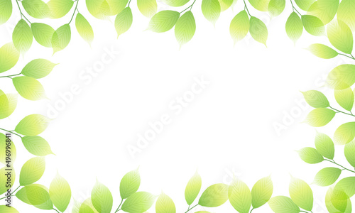 新緑の葉のベクターイラスト背景(フレッシュ,コピースペース,art,narural,fresh,green)
