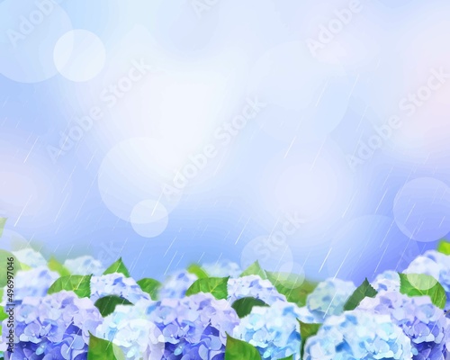 梅雨の時期に雨の降る中で咲く美しい薄紫色とピンク色のあじさいと葉っぱの幻想的なボケの背景イラスト素材