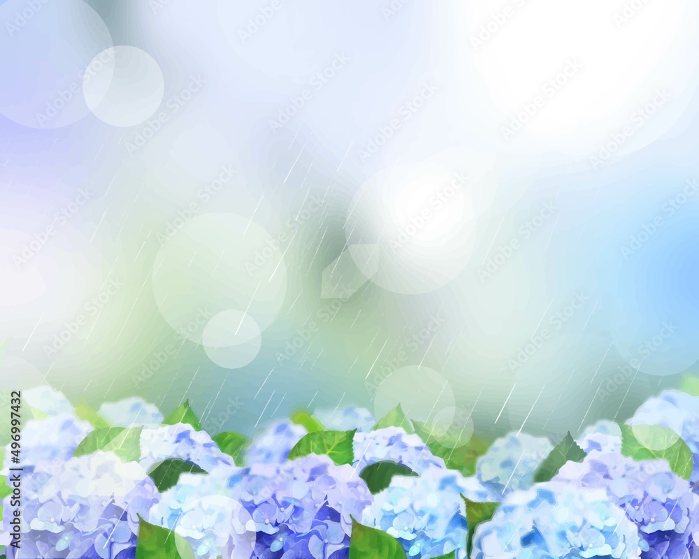 梅雨の時期に雨の降る中で咲く美しい薄紫色とピンク色のあじさいと葉っぱの幻想的なボケの背景イラスト素材