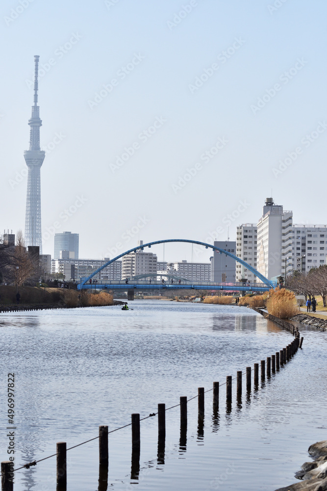 旧中川に架かるふれあい橋の向こうに聳えるスカイツリー