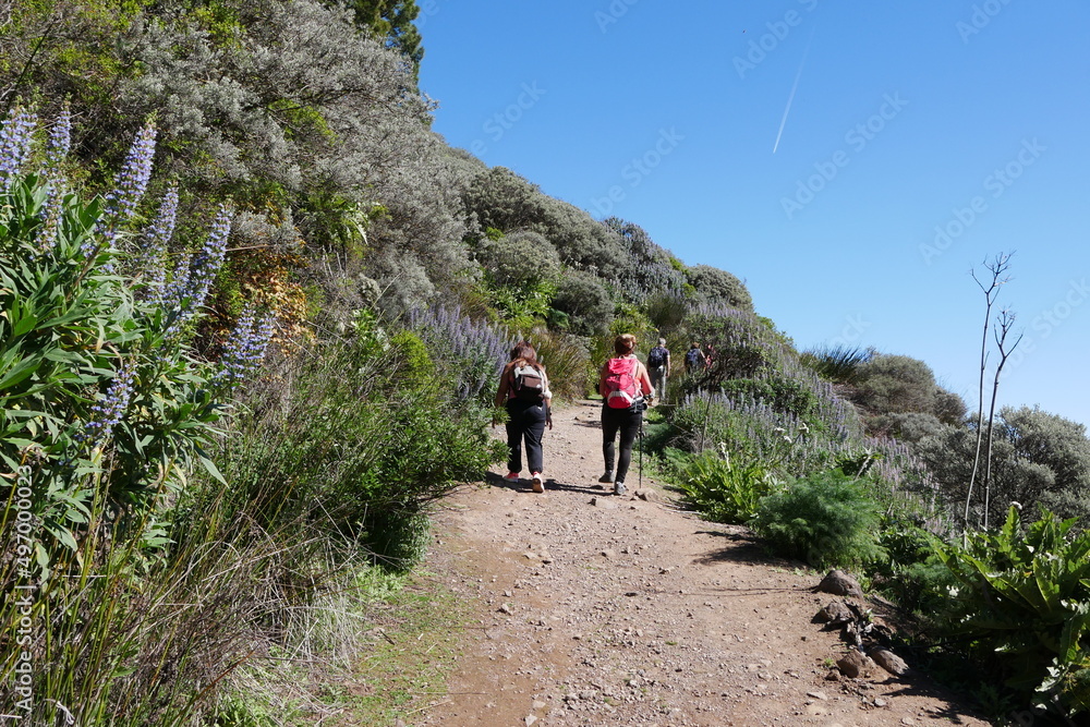 Wanderer, Blumen und Wanderweg auf Gran Canaria