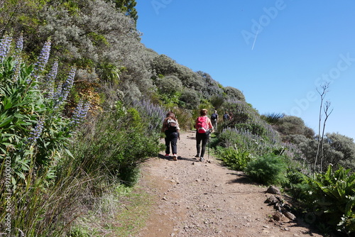 Wanderer, Blumen und Wanderweg auf Gran Canaria