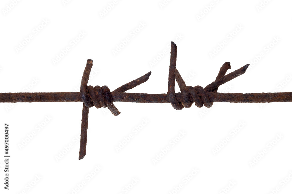 Old, rusty barbed wire isolated on a white background, clipping path, no shadows. Fragment of old barbed wire isolate. Element for design. Old, rusty barbed wire isolated on a white background, clipping path, no shadows. Fragment of old barbed wire isolate. Element for design.