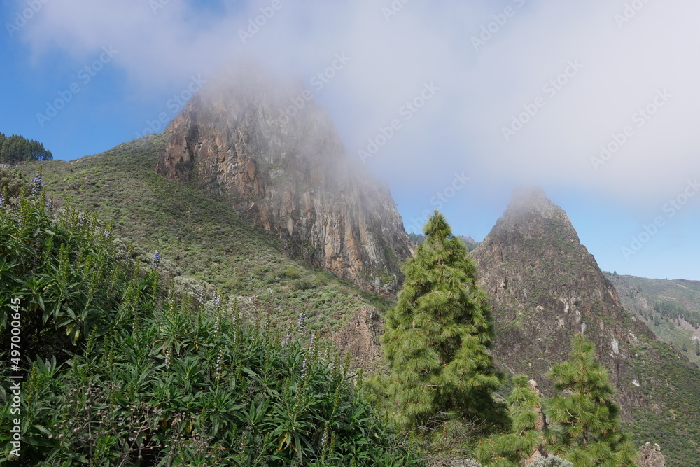 Blühende Berglandschaft und Felsen im Nebel bei Valsequillo auf Gran Canaria