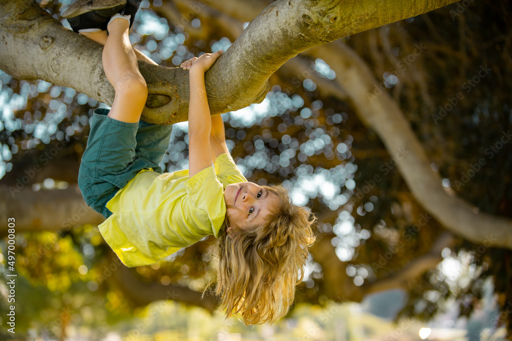 Happy kids climbing up tree and having fun in summer park. Kids climbing  trees, hanging upside down on a tree in a park. Child protection. Childhood  concept. Stock Photo